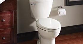 Diplomat Toilets