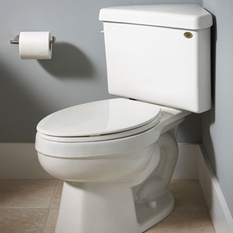 eljer triangle toilet
